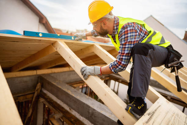 Best Roof Gutter Cleaning  in Orange City, IA