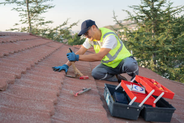 Best Commercial Roofing Services  in Orange City, IA