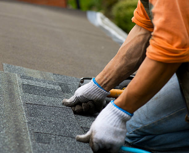 Best Shingle Roofing Installation  in Orange City, IA