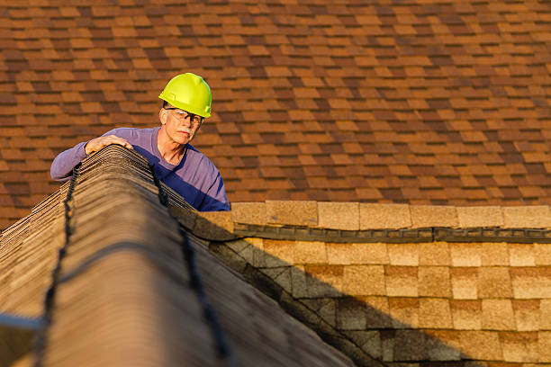 Best Metal Roofing Contractor  in Orange City, IA