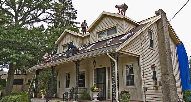Best Roofing Contractor Near Me  in Orange City, IA