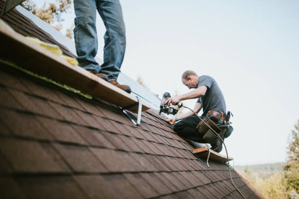 Best Commercial Roofing Services  in Orange City, IA